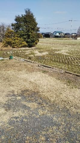 粗大ゴミの回収後