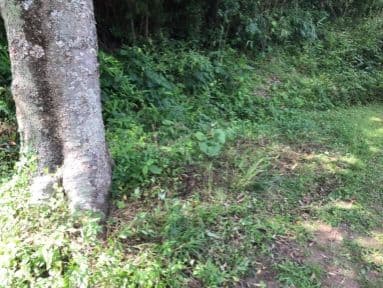 不用品の回収後