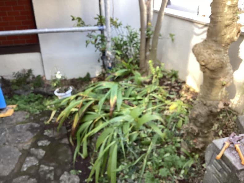 樹木伐採・剪定時の樹木・枝類回収作業後