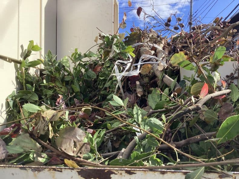 宇都宮市の剪定木の回収作業前