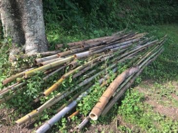 2020.08.07
【三原市 T様】竹・剪定くず