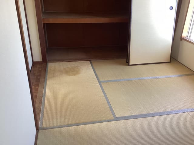 dump-image-a79023a02f711387ecd2e0873c6aa116