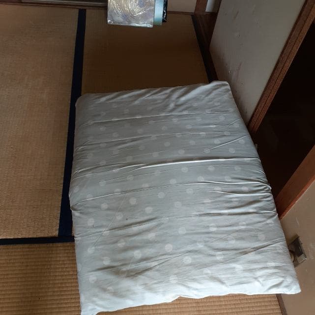 京都市南区の粗大ごみ回収前②