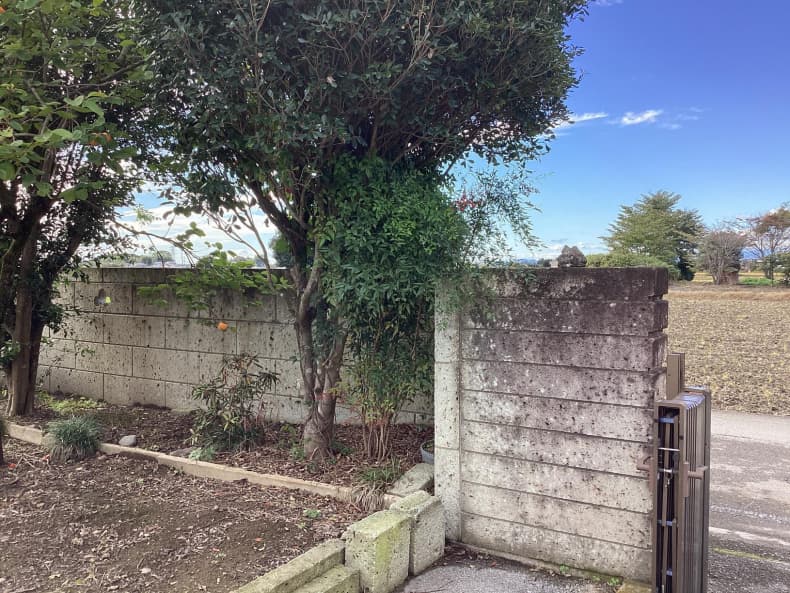 自宅庭の木類伐採及び処分作業前