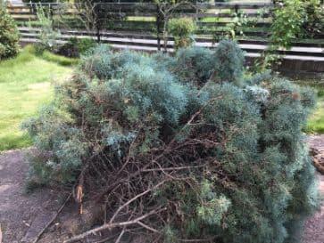 2022.10.20
【宇都宮市 s様】自宅の樹木の伐採に伴う材木回収の作業事例