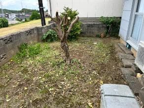 松江市の枝木回収の作業後