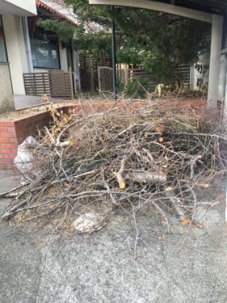 2021.07.28
【岡山市北区 Y様】不用品回収【伐採木】