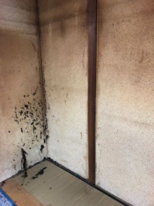 片付けに伴う不用品回収の作業事例のAFTER