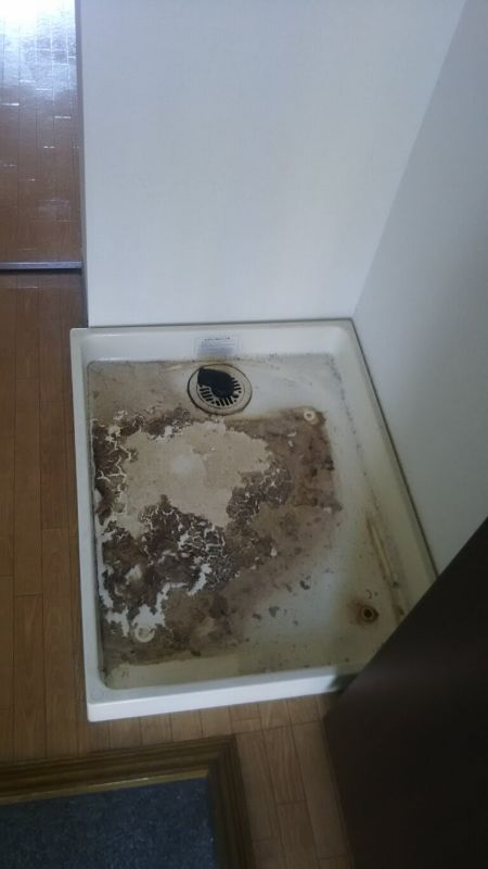 不用品の回収後