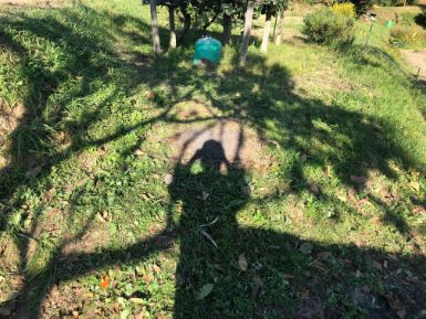 三原市の不用品回収の作業後