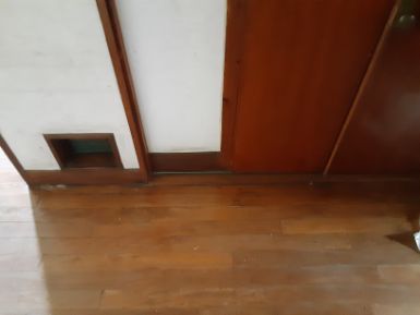 高崎市のゴミ回収の作業後