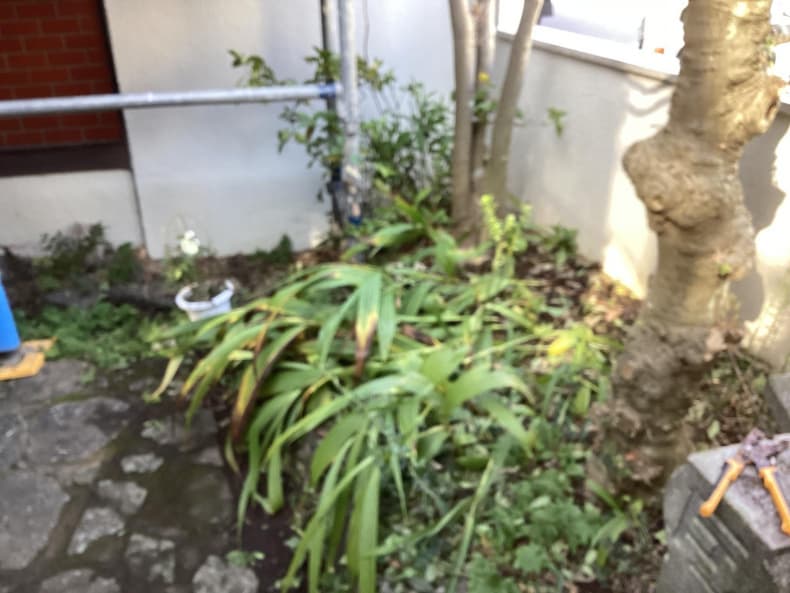 樹木伐採・剪定時の樹木・枝類回収作業後