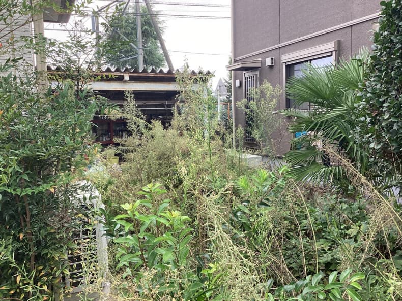 自宅庭の除草作業前