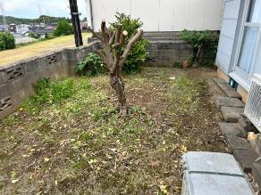 松江市の枝木回収の作業後