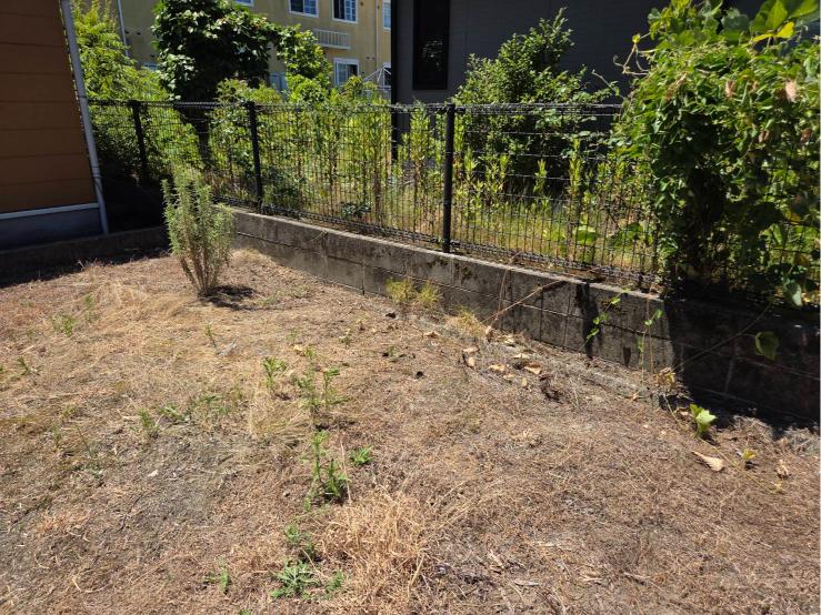 琴浦町の不用品回収の作業後