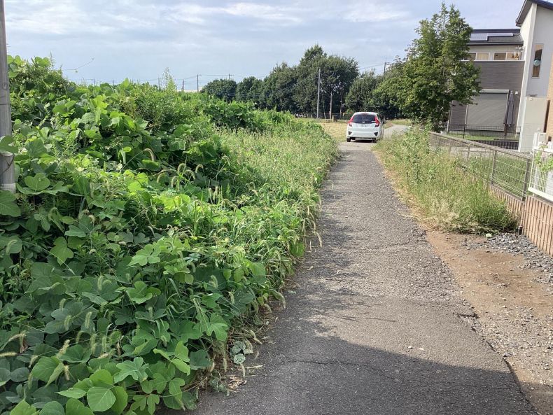 田畑の除草作業前