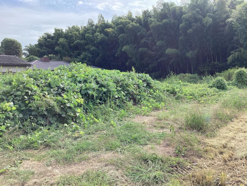 栃木県宇都宮市H様の作業実績