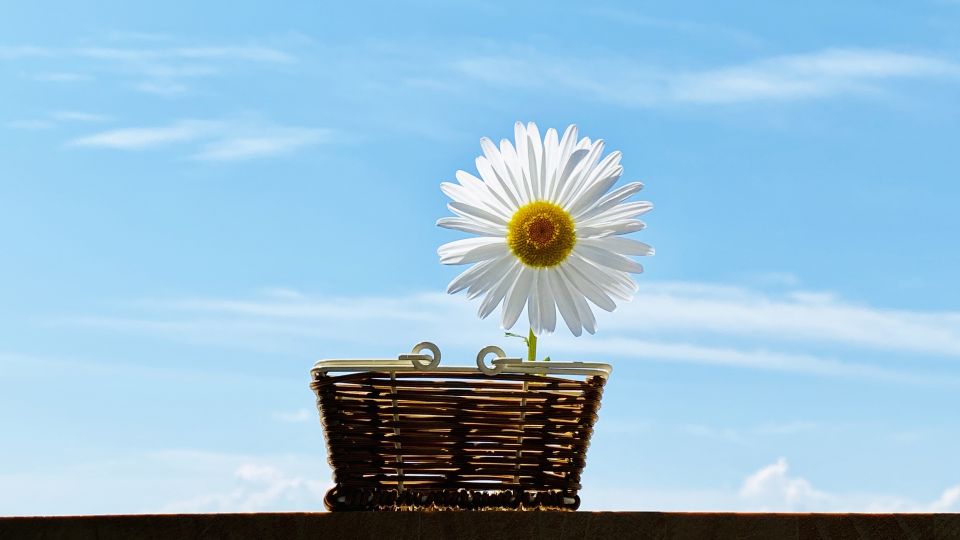 粗大ゴミのシールの貼り方は？購入方法からのステップや記載事項まで徹底解説のまとめ