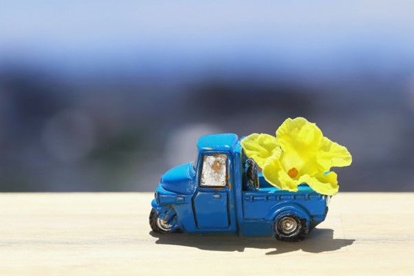 不用品回収業者に布団の処分を依頼する