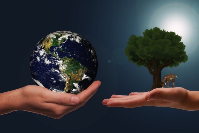 洗濯機は家電リサイクル法の対象家電 ｜テレビや冷蔵庫と捨て方が同じ