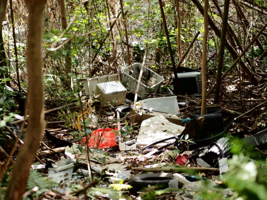 山林にゴミが不法投棄されている様子